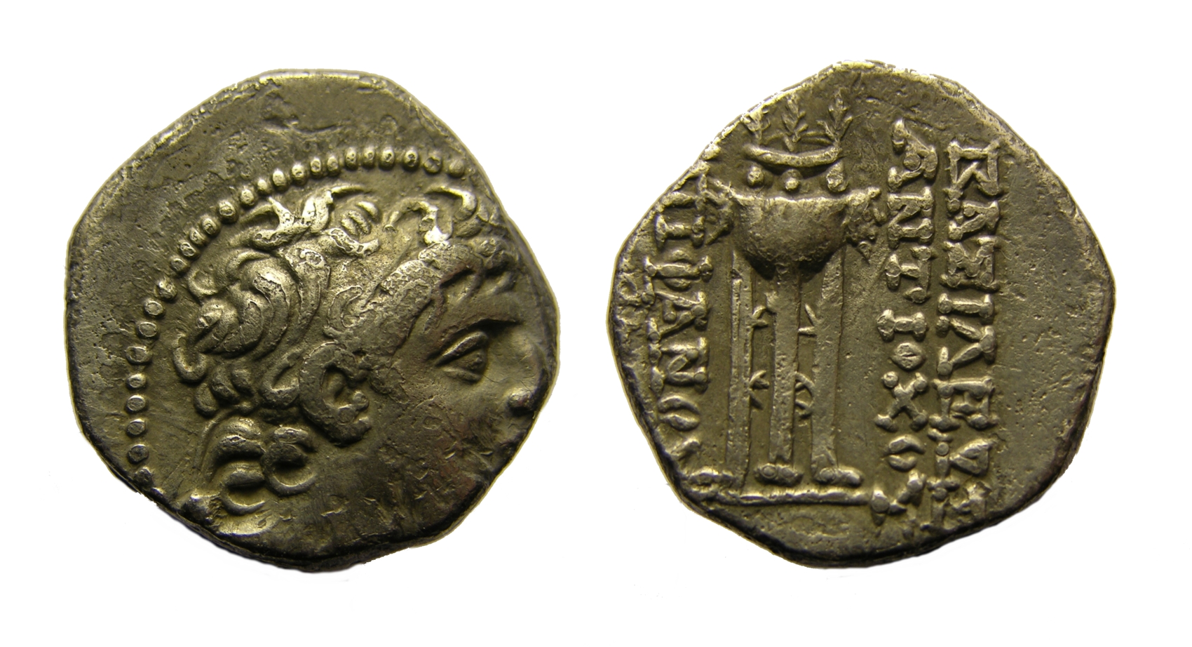 g153.jpg