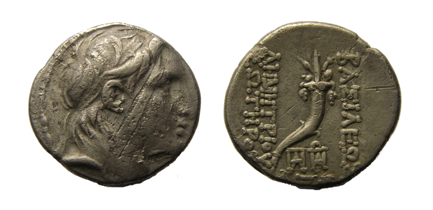 g154.jpg