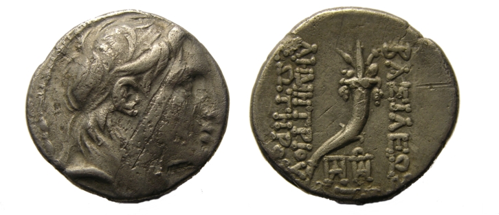 g154.jpg