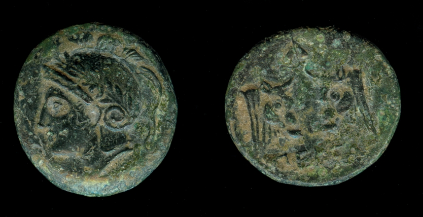 g156.jpg