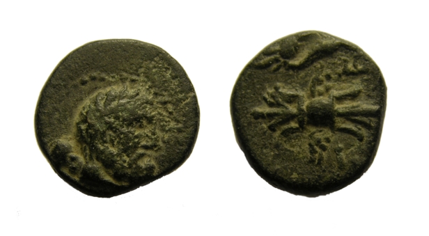 g181.jpg