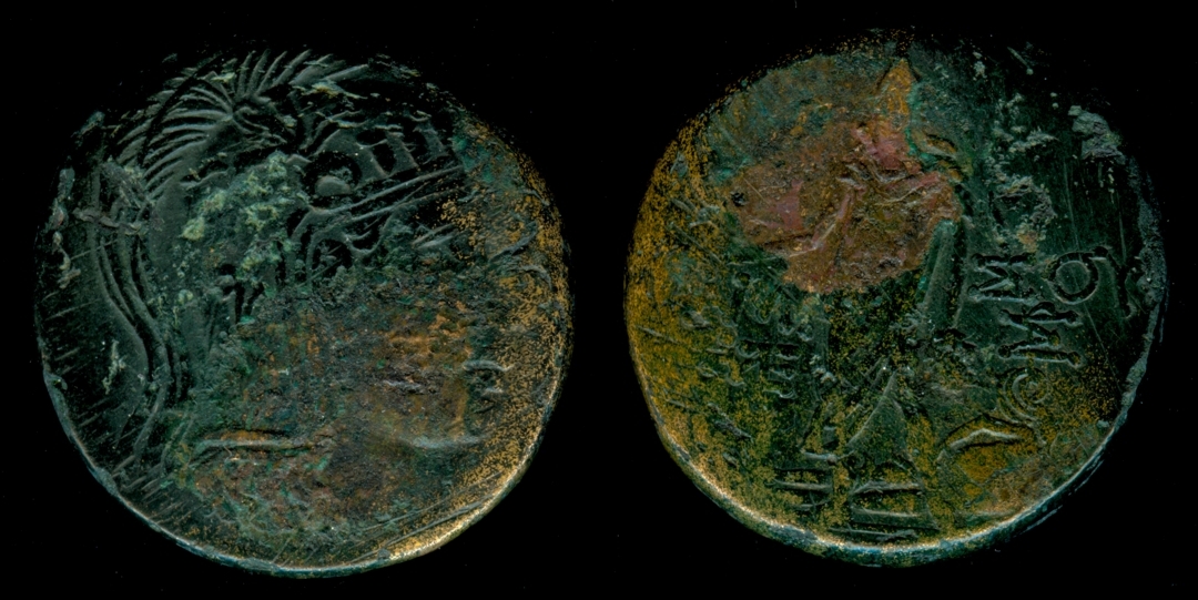 g194.jpg