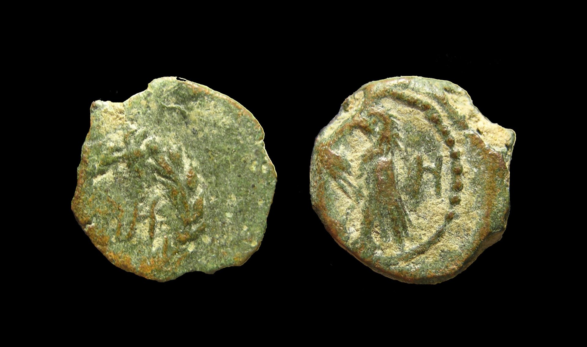 g215.jpg