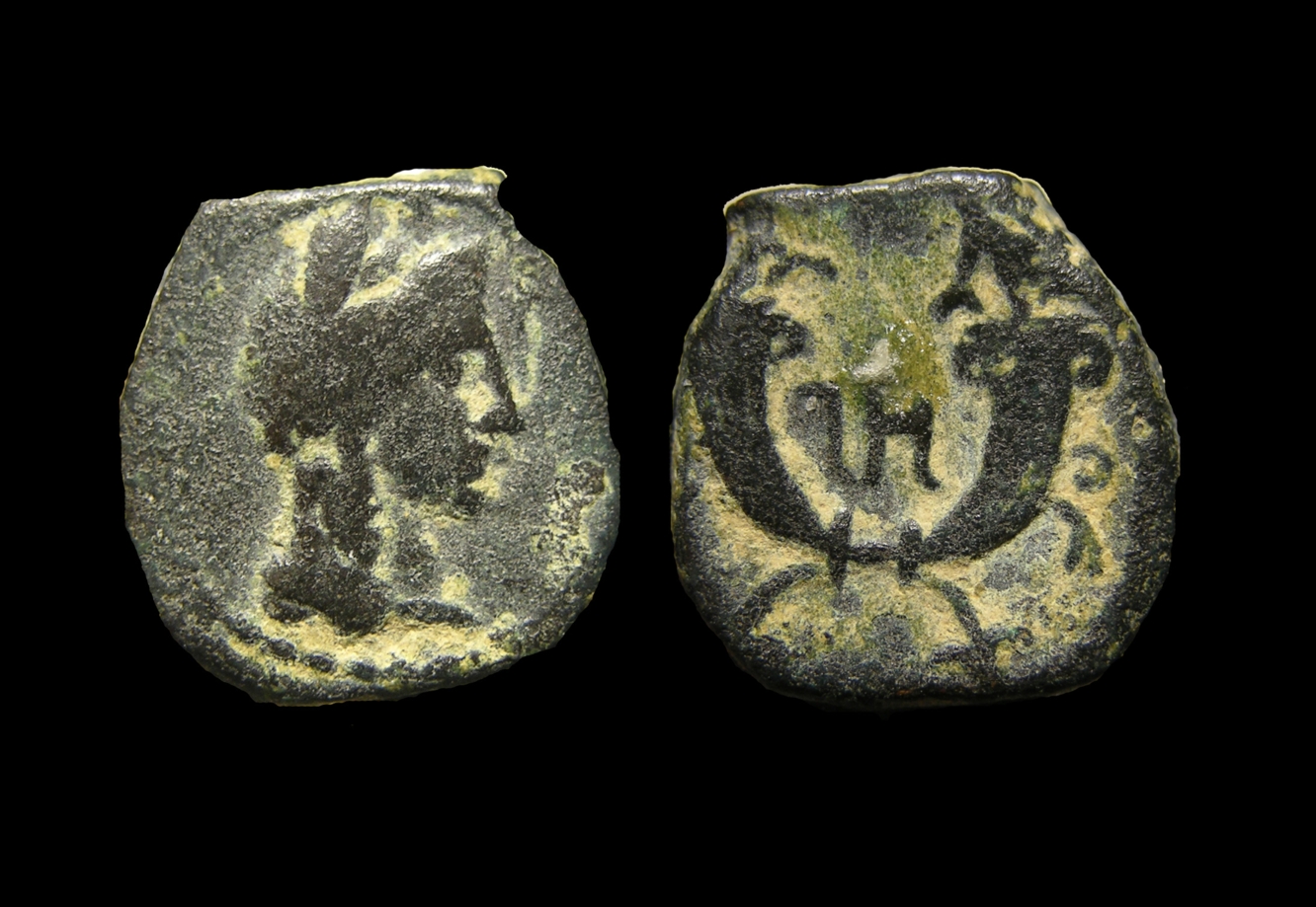 g216.jpg