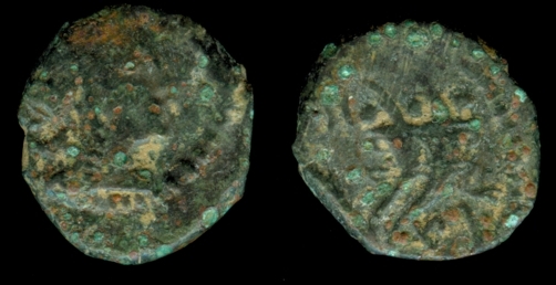 g219.jpg