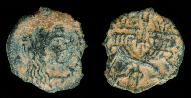 g229.jpg