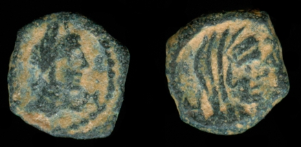 g232.jpg