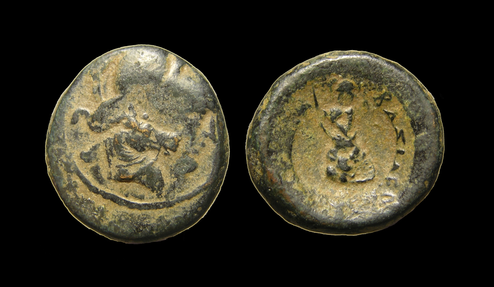 g243.jpg