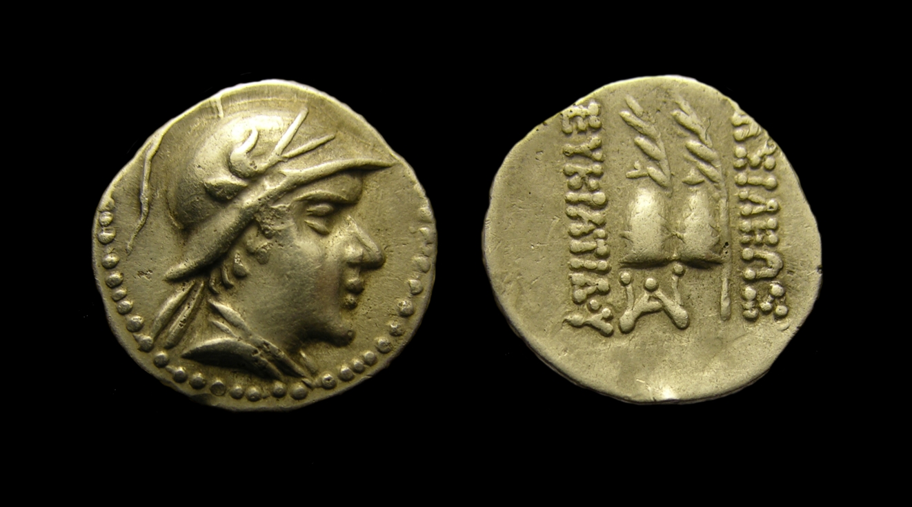 g246.jpg