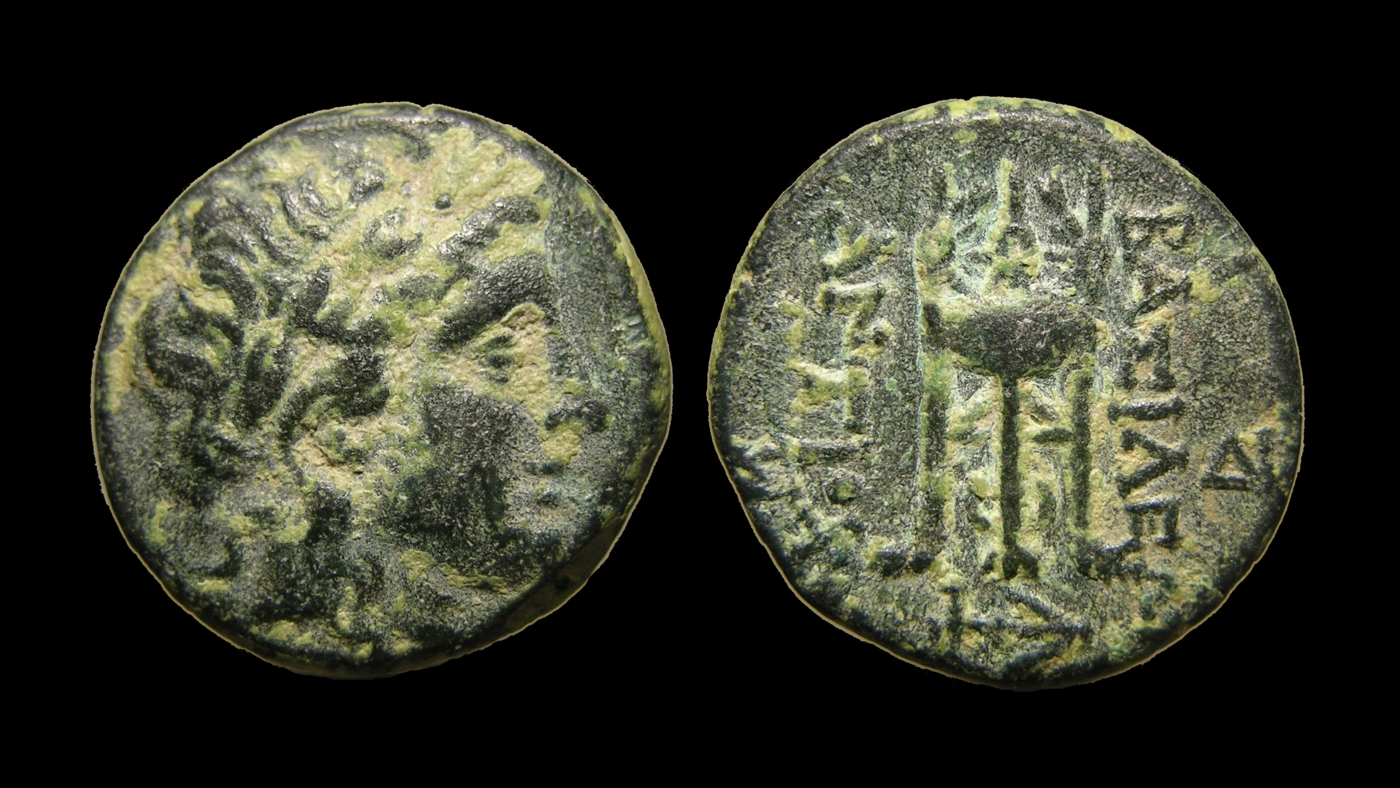 g248.jpg