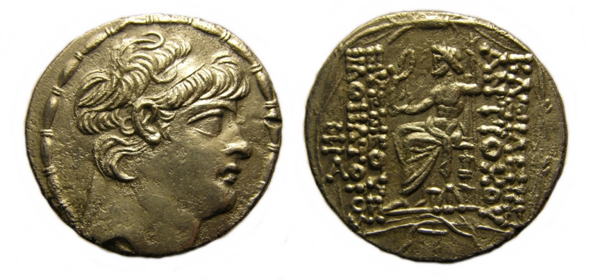 g261.jpg