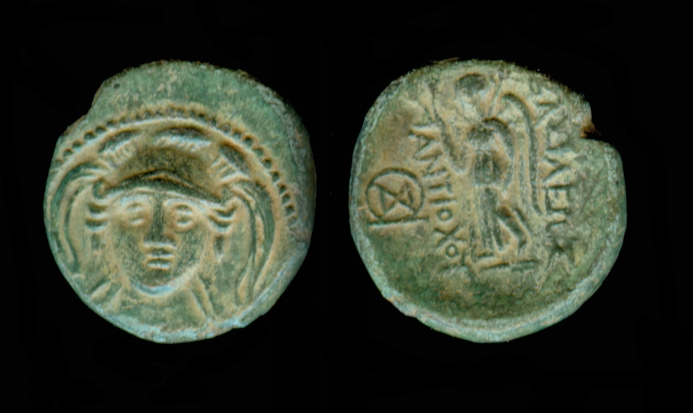 g262.jpg