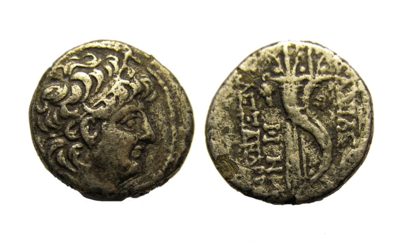 g263.jpg