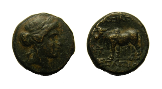 g269.jpg