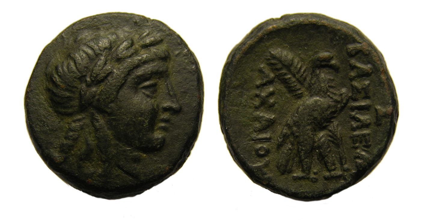 g272.jpg