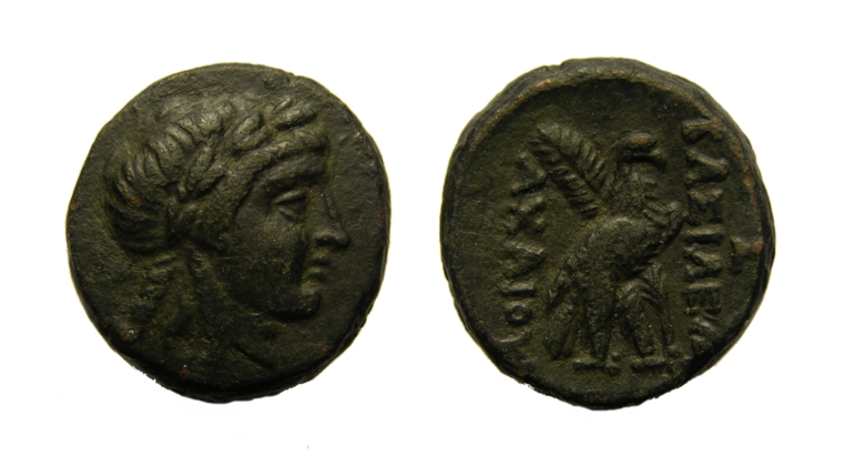 g272.jpg