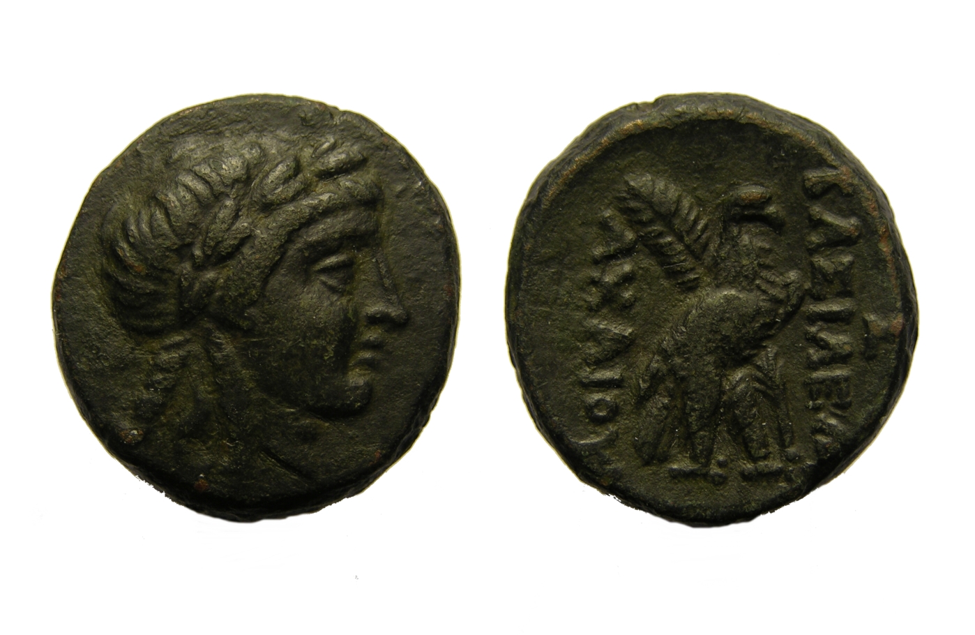 g272.jpg