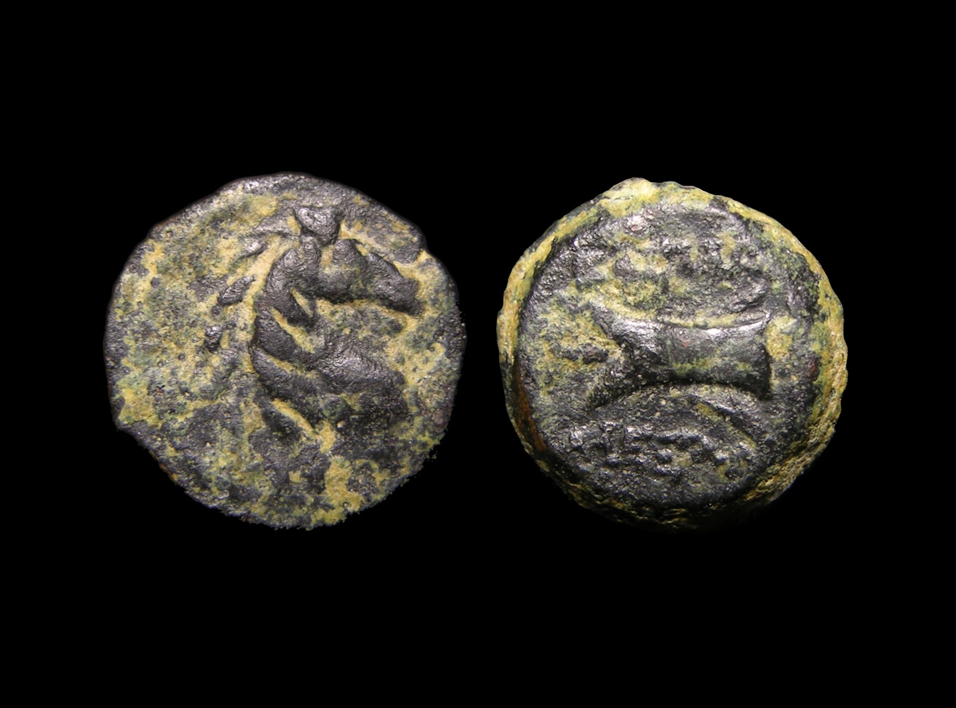 g278.jpg