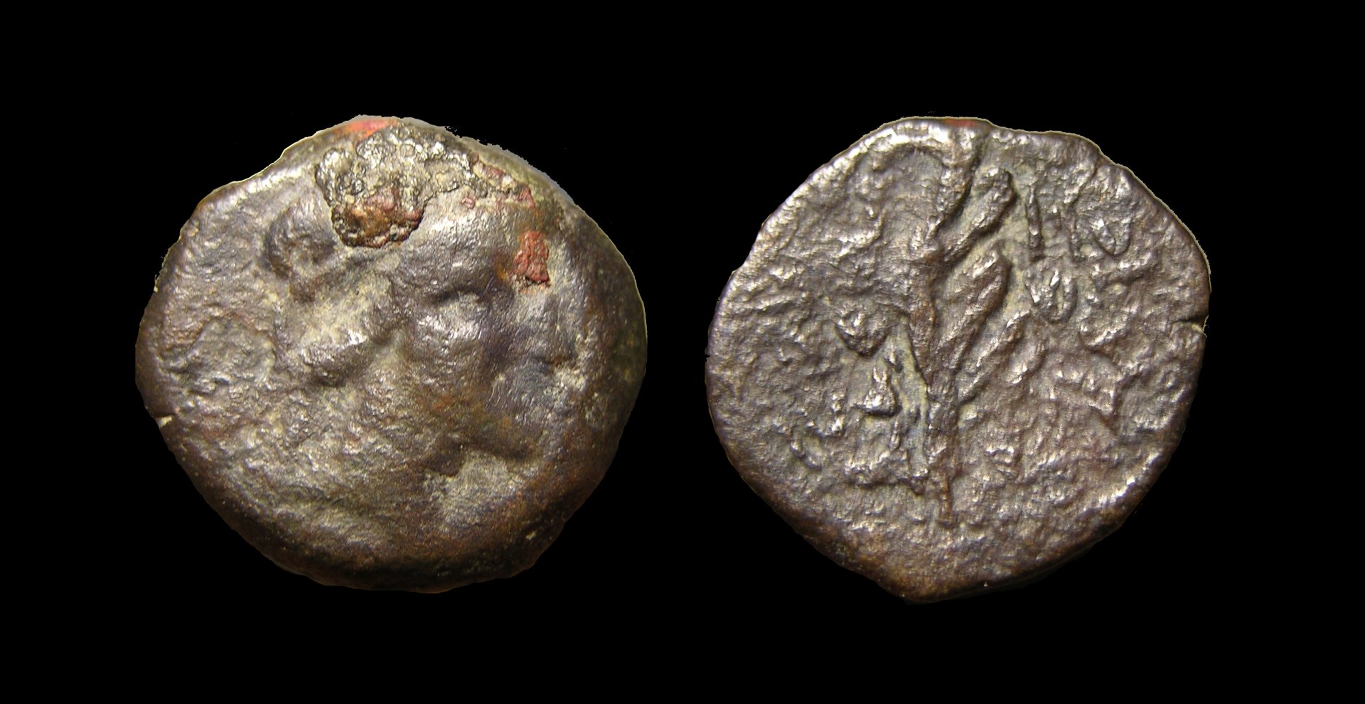 g282.jpg
