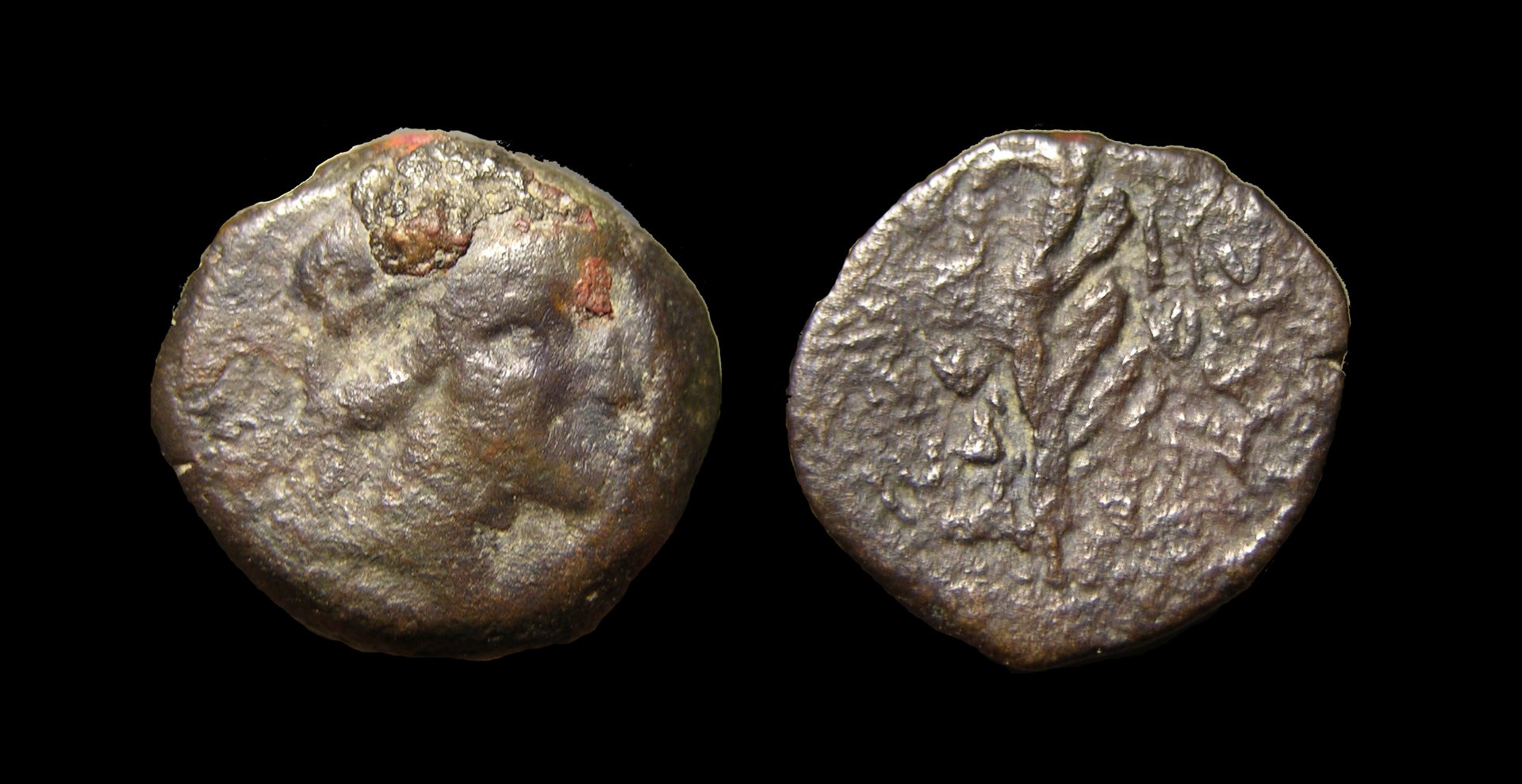 g282.jpg