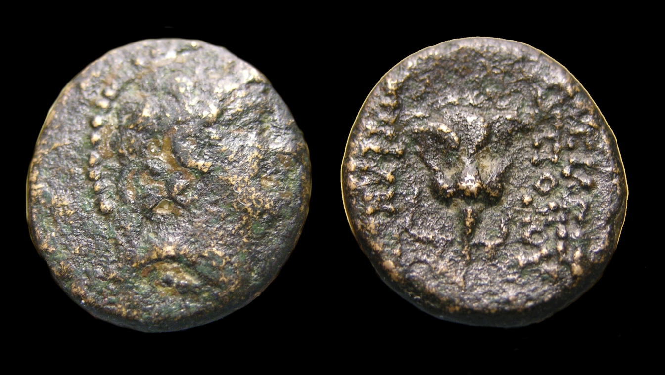g291.jpg