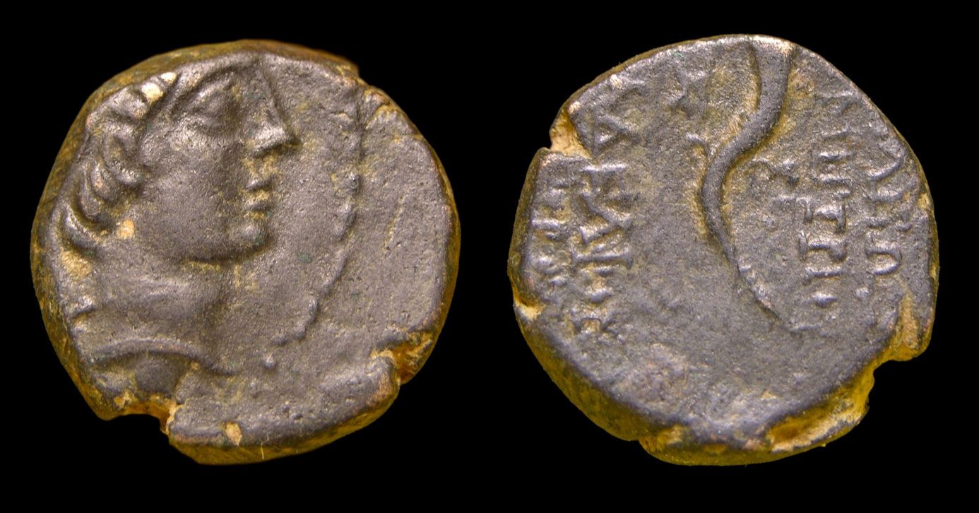 g293.jpg