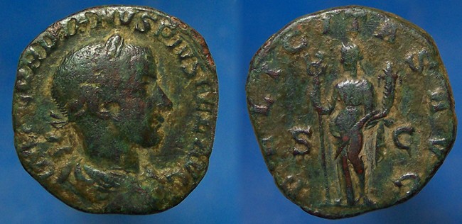 g295.JPG
