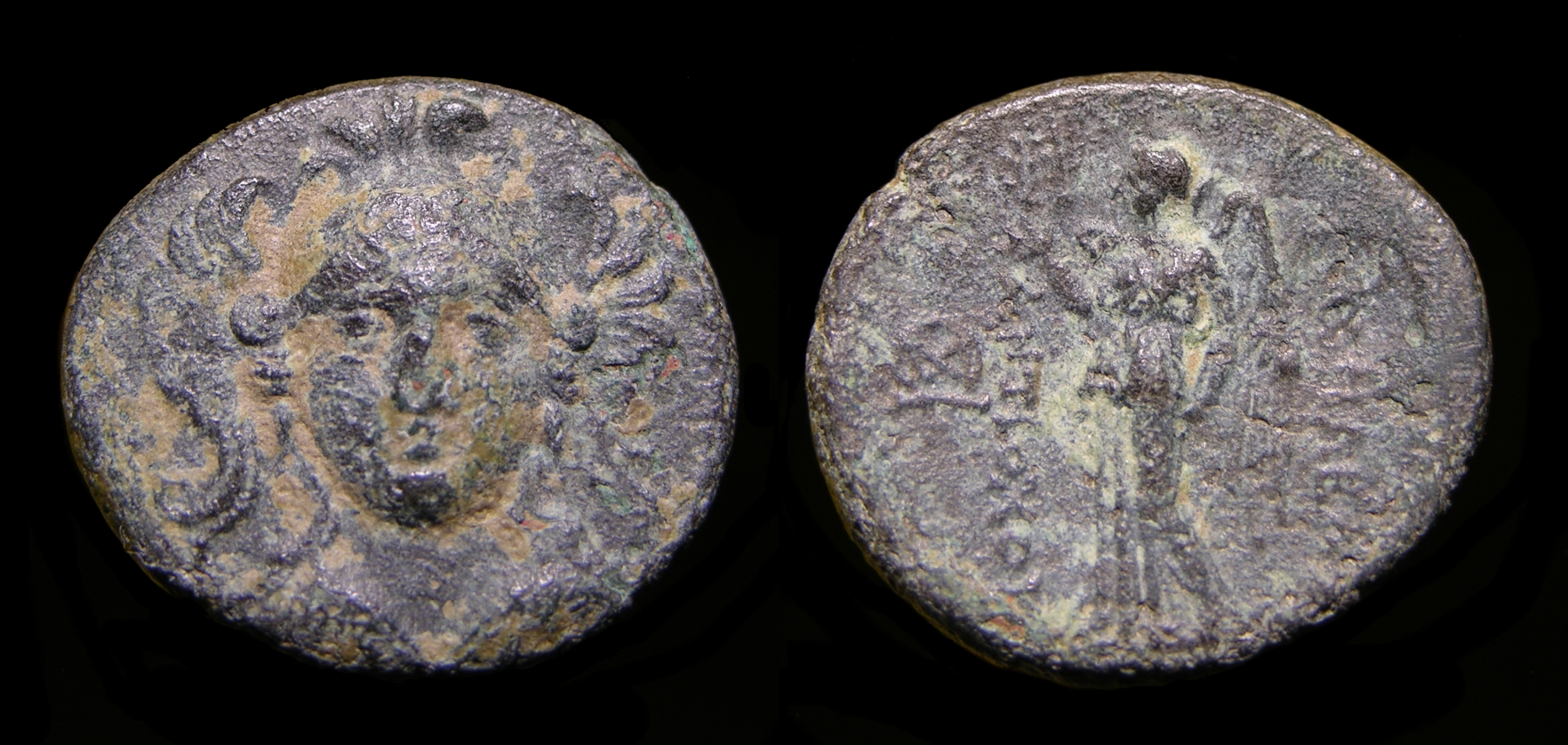 g295.jpg