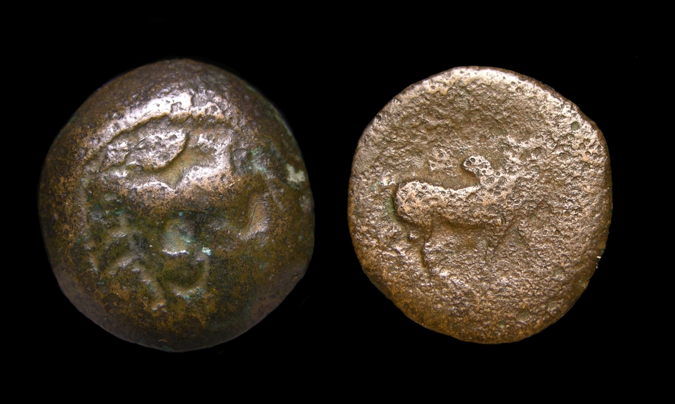g297.jpg