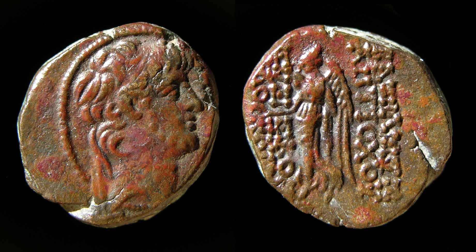 g307.jpg