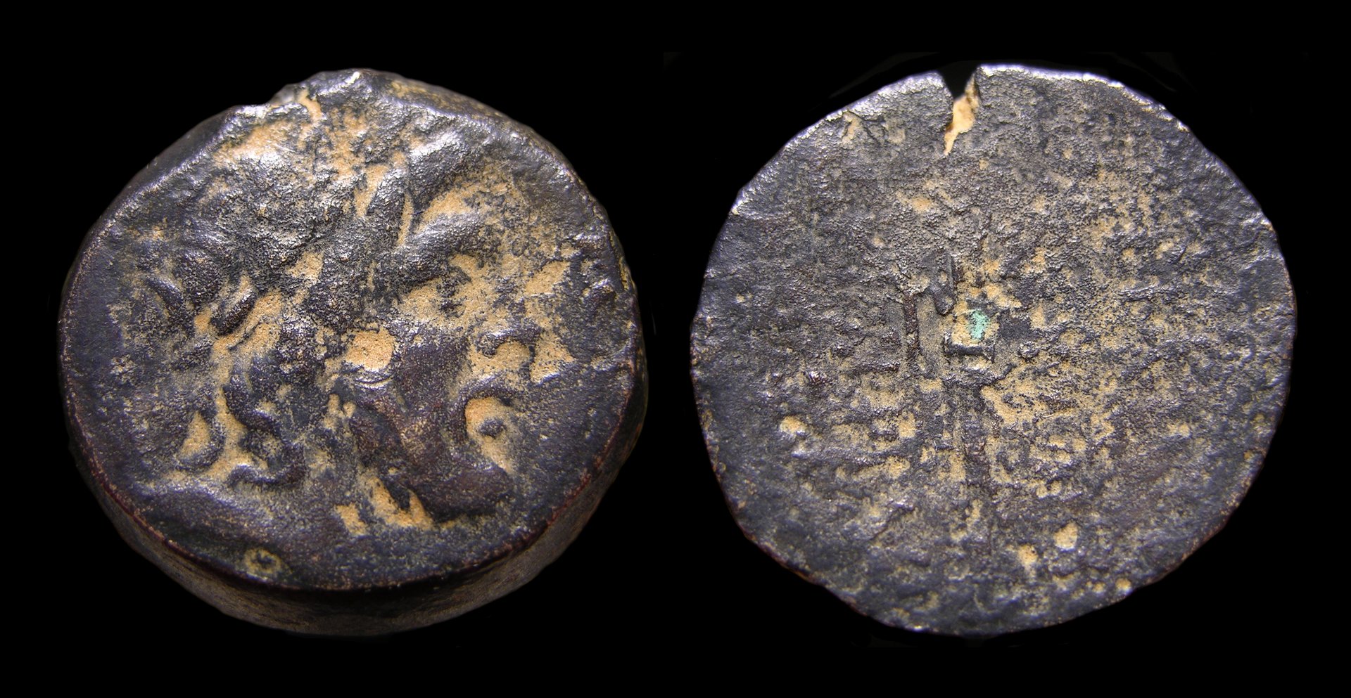 g309.jpg