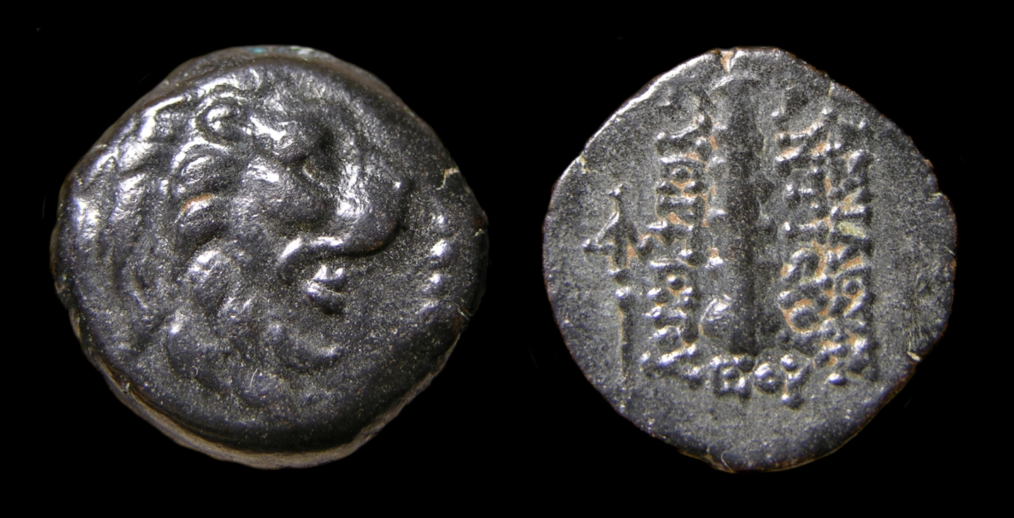 g315.jpg
