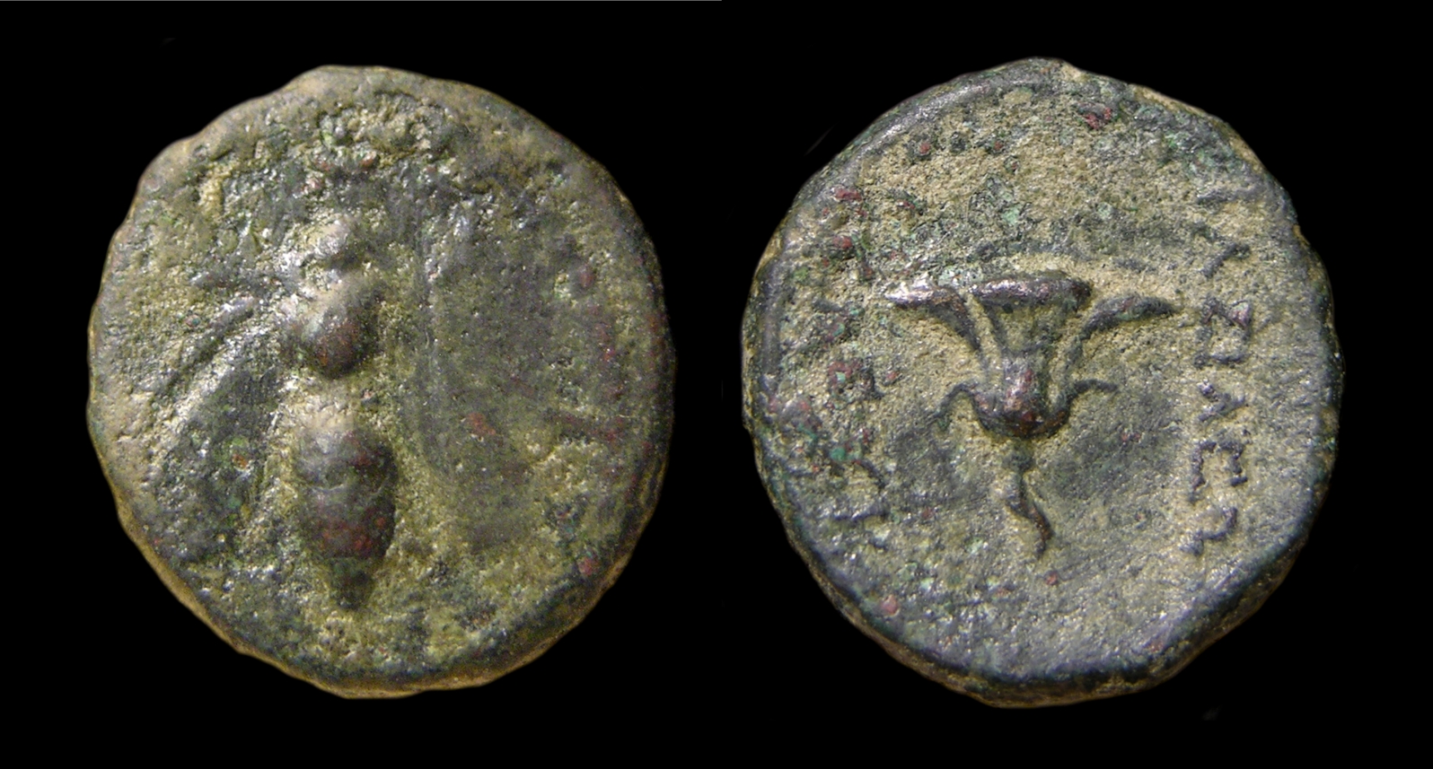 g316.jpg