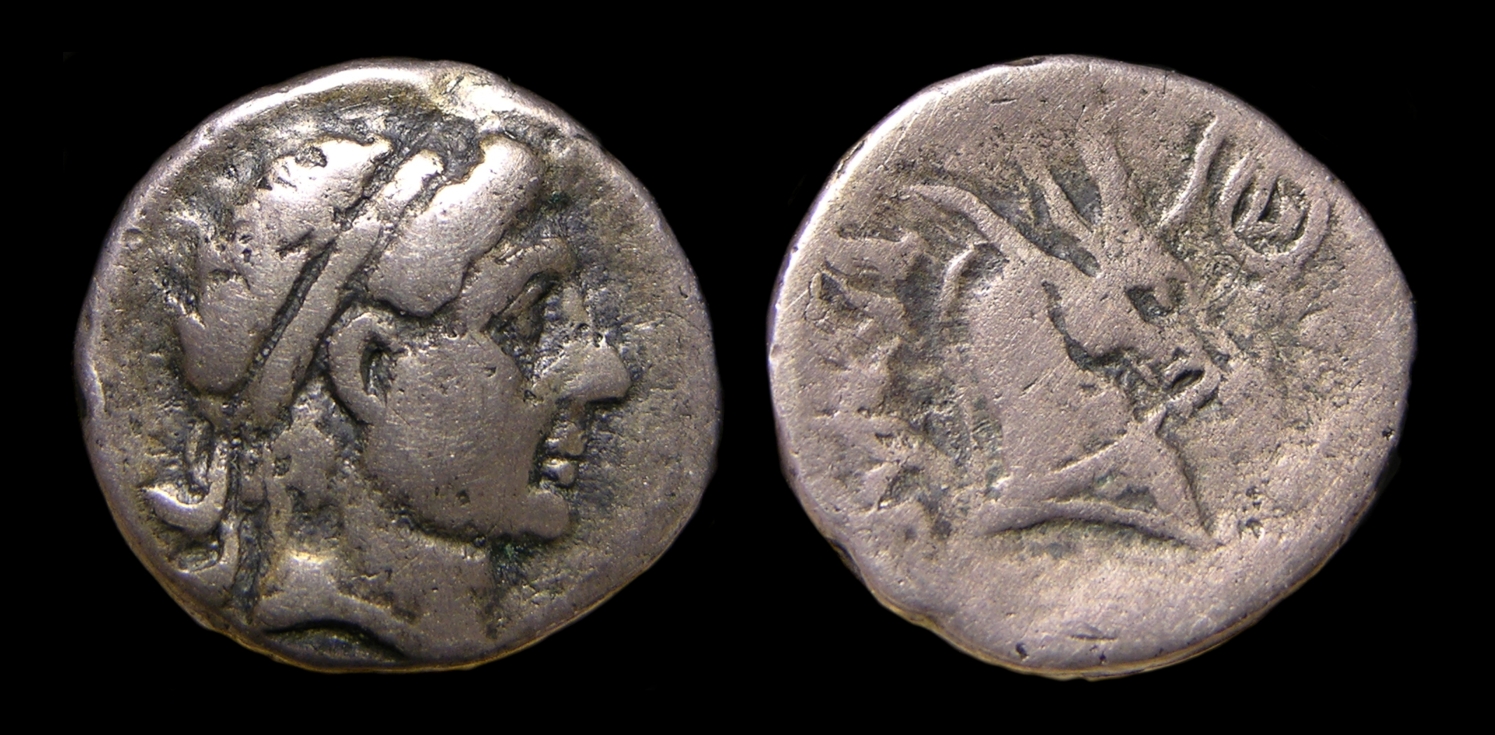 g317.jpg