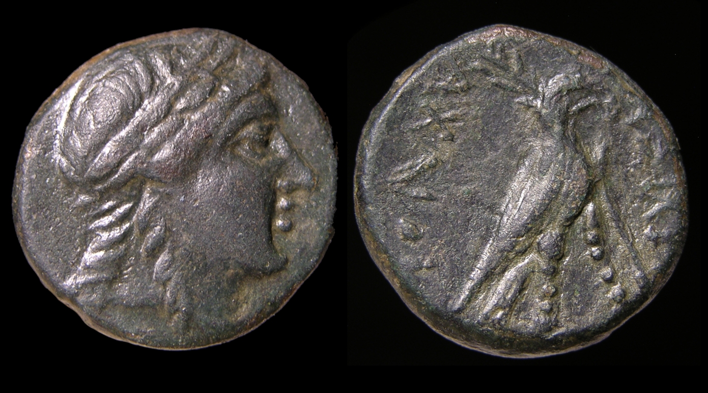 g323.jpg