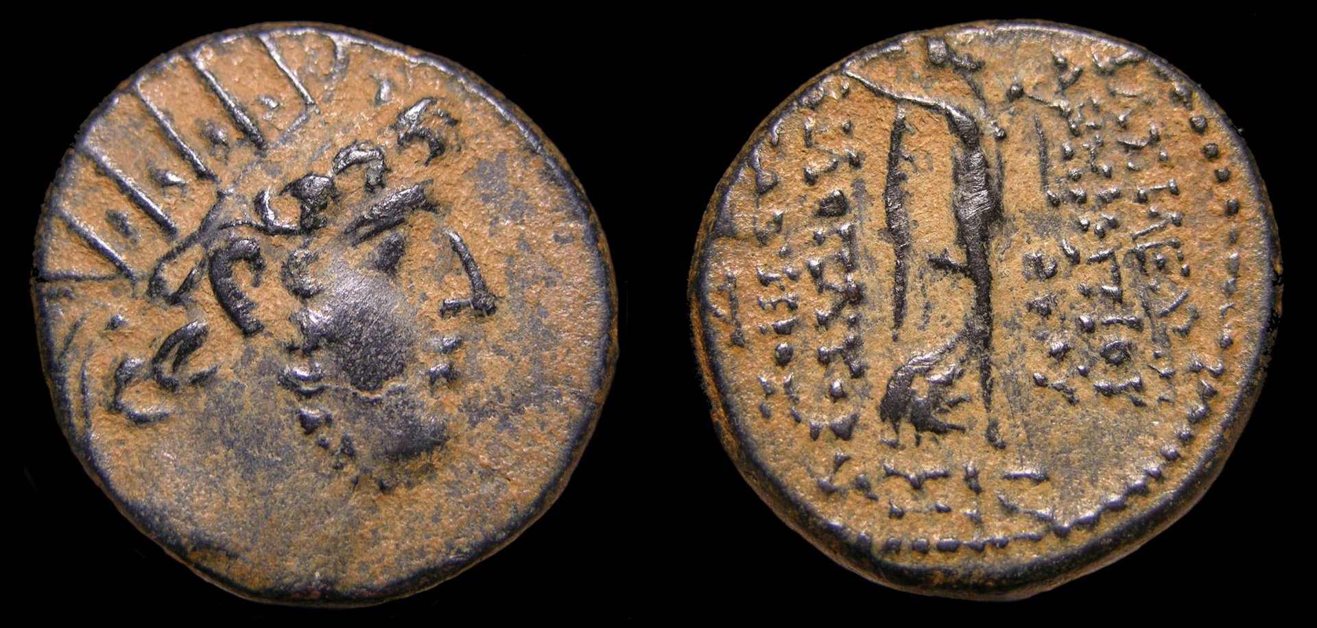 g333.jpg