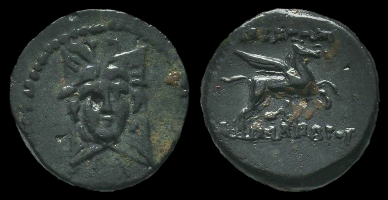 g339.jpg