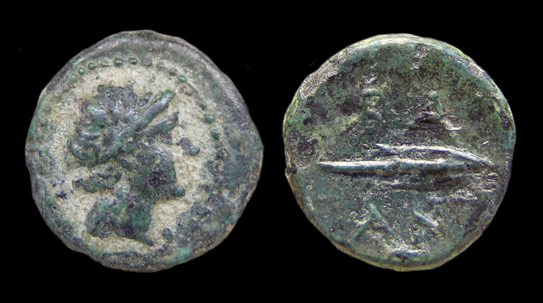 g343.jpg