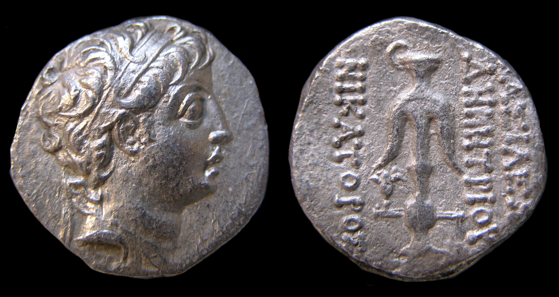 g346.jpg