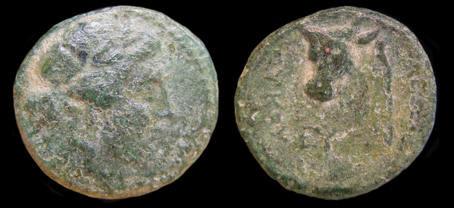 g347.jpg