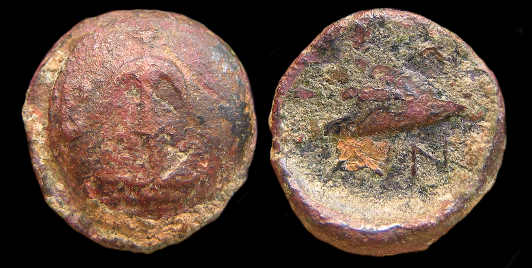 g348.jpg