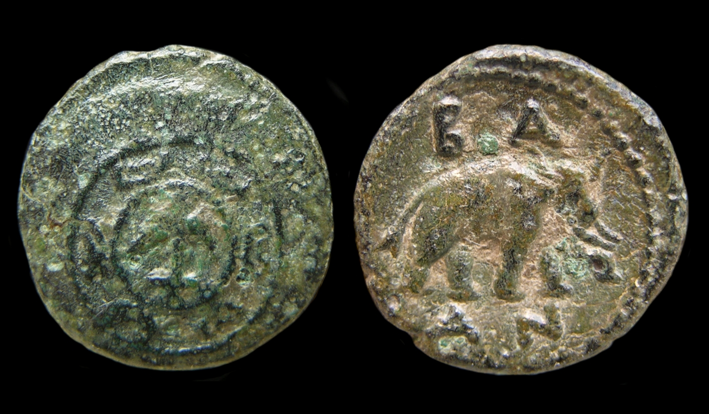 g349.jpg