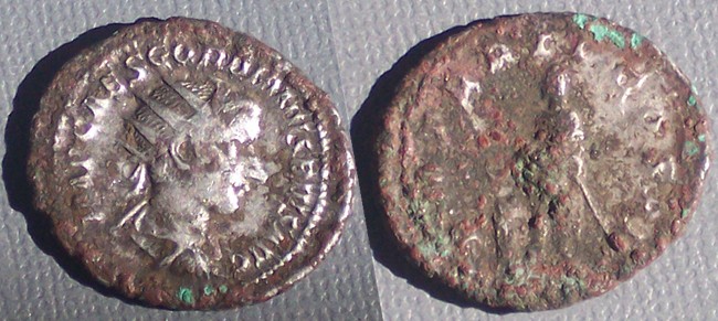 g491.JPG