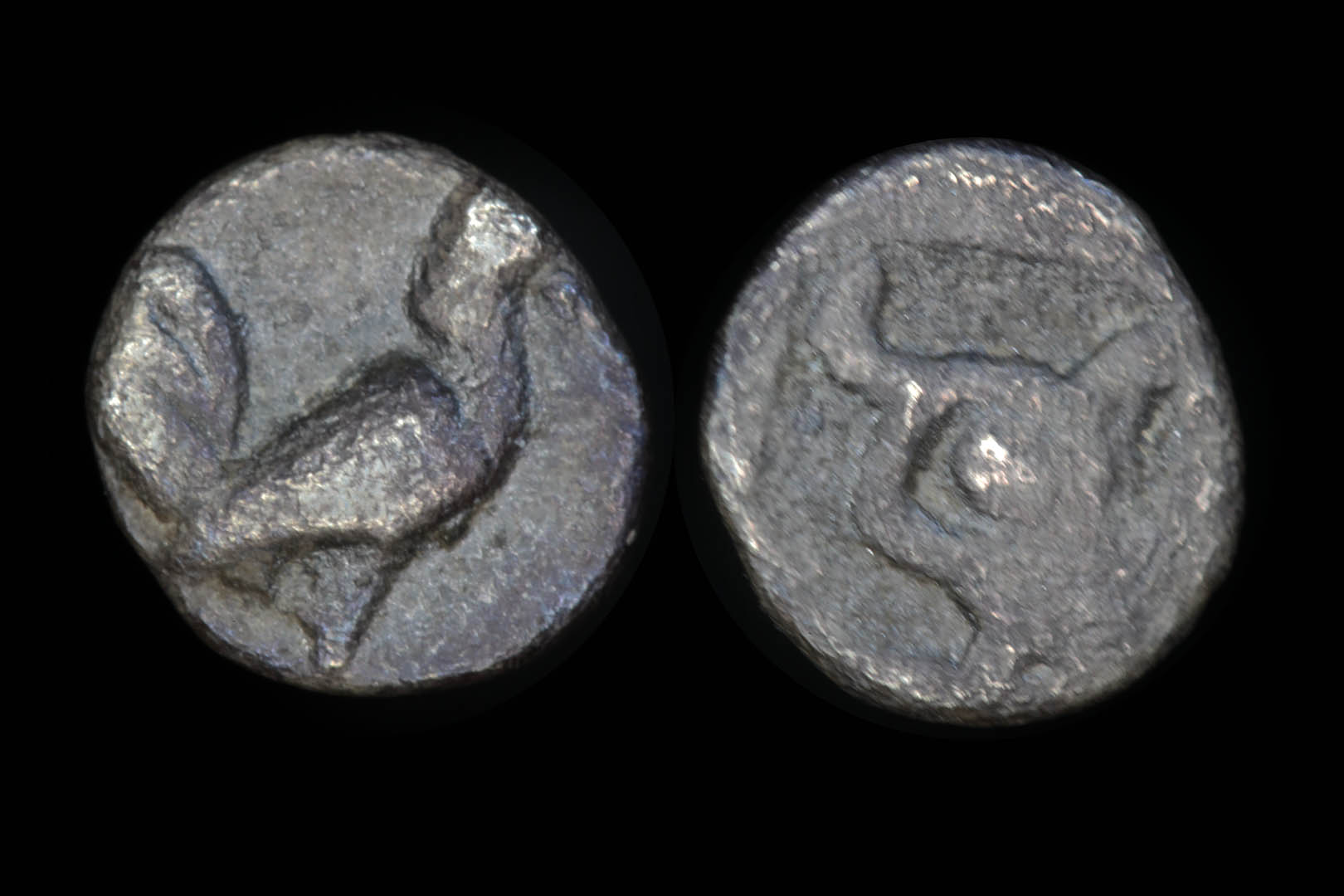 g61569fd1065.jpg