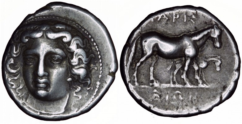 G_336_Larissa.jpg