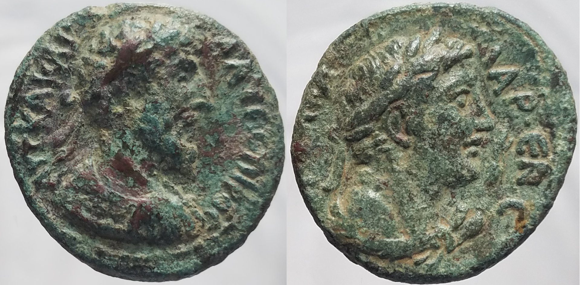 gadara comb.jpg