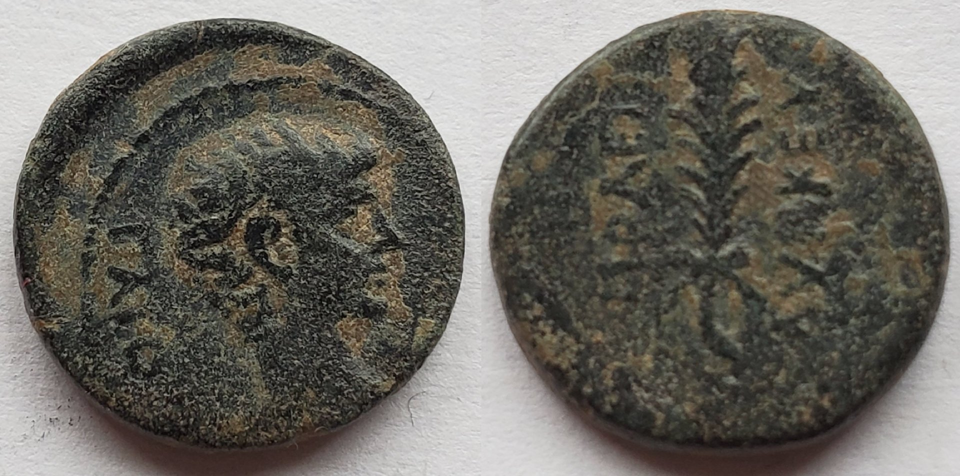 Gaius Caesar Hierapolis phrygia Lynkeus.jpg