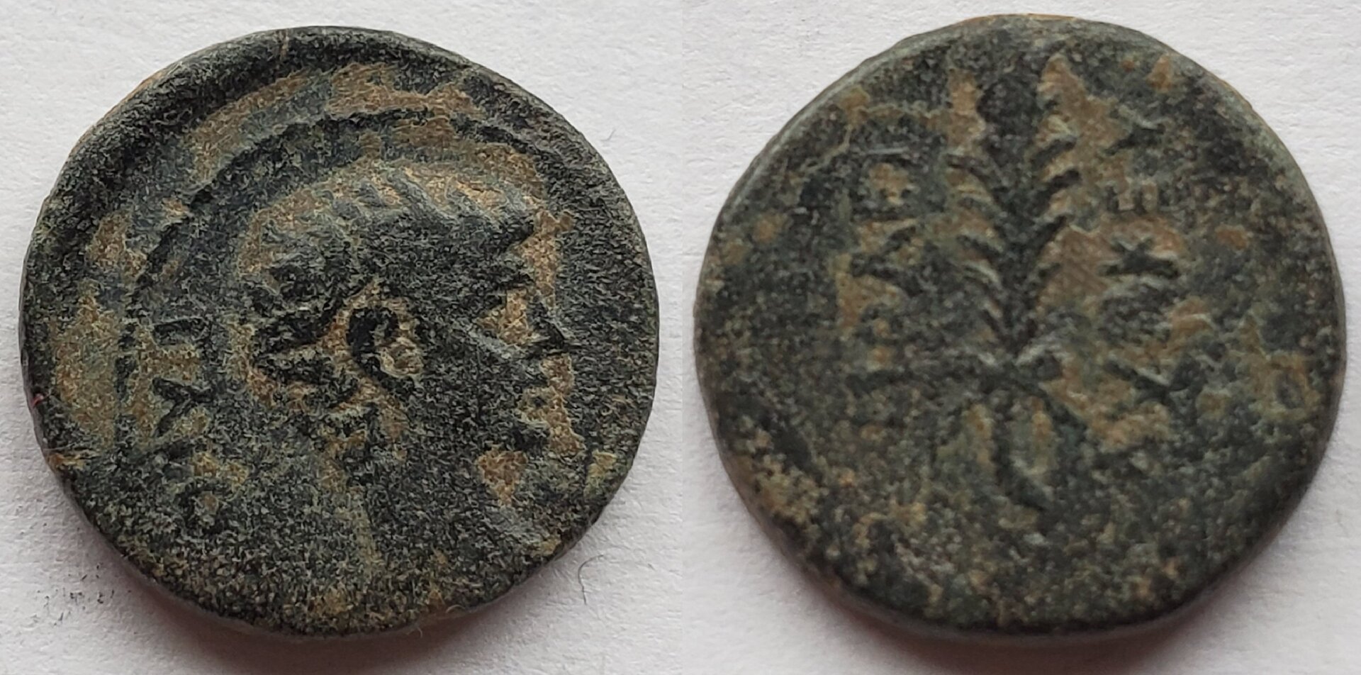 Gaius Caesar Hierapolis phrygia Lynkeus.jpg