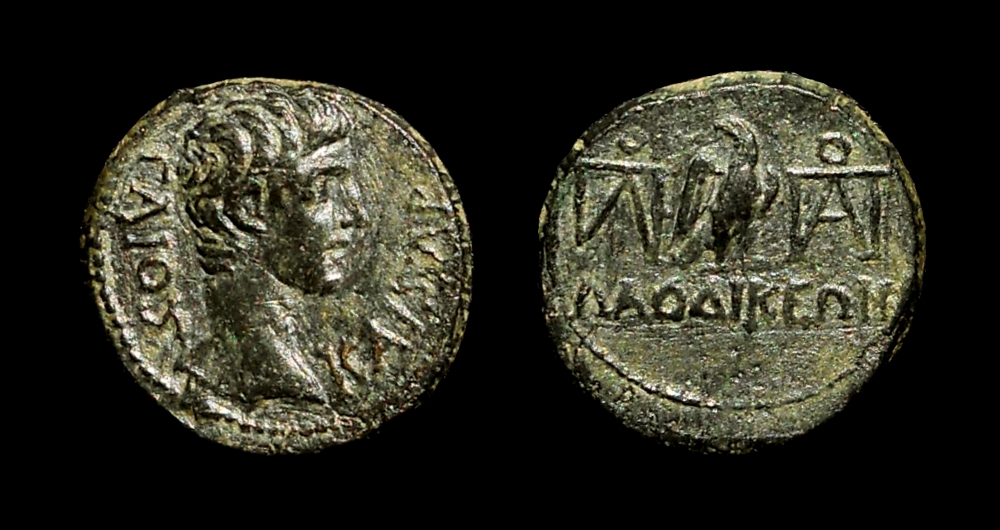 gaius caesar.jpg