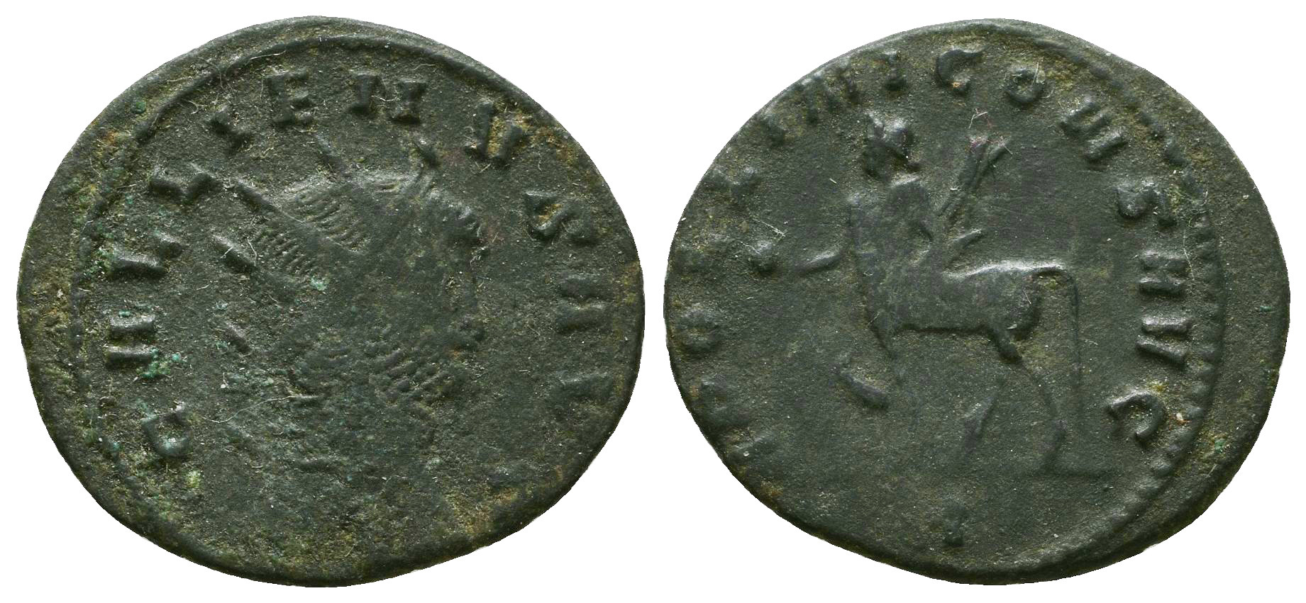Gal Cent Zeus 8.8.2021.jpg